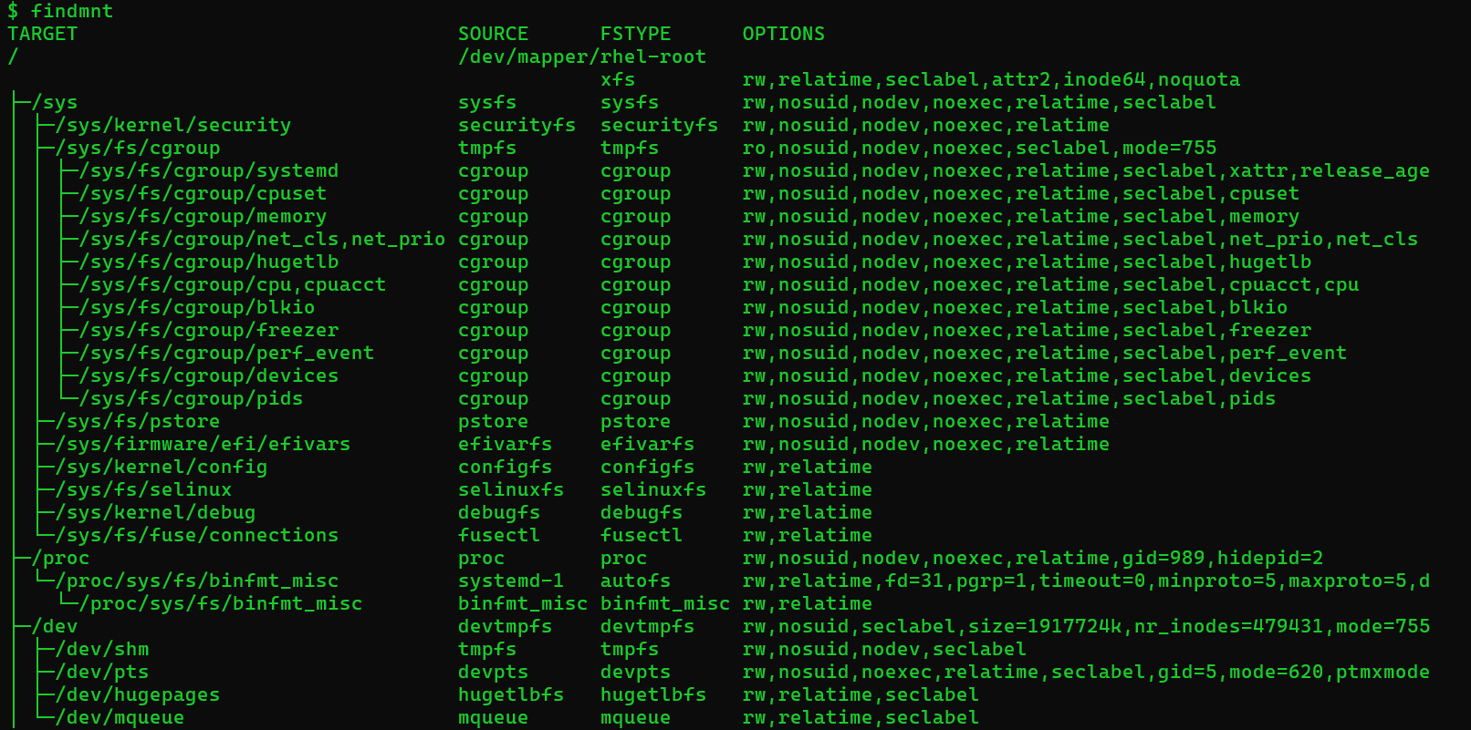 findmnt output