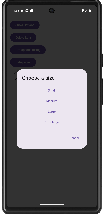 List Options Dialog